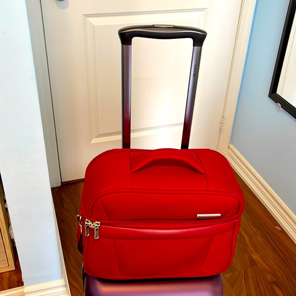 Delsey Large Cosmetic Bag / Hand Carry on luggage